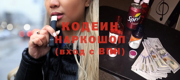шишки Елизово