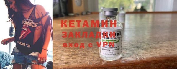 шишки Елизово