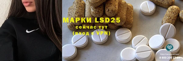 шишки Елизово