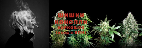 МДПВ Дмитровск
