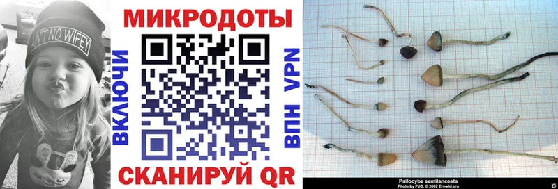 Псилоцибиновые грибы Magic Shrooms купить наркоту Выкса