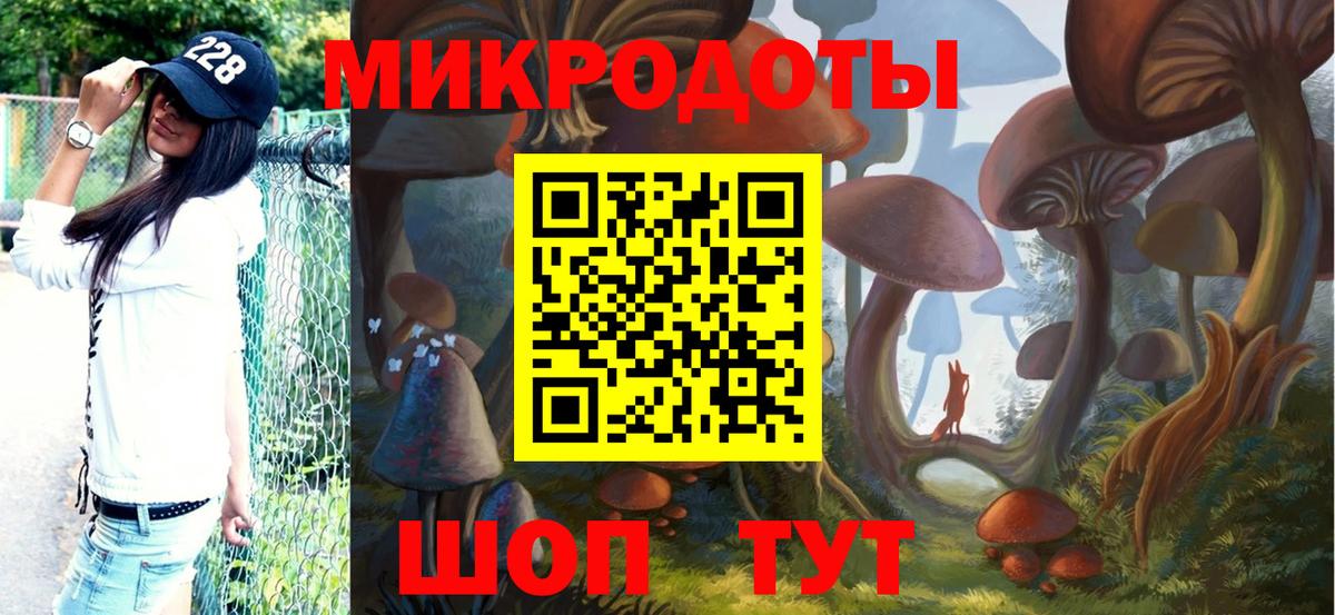 Галлюциногенные грибы MAGIC MUSHROOMS  Выкса  Галлюциногенные грибы Psilocybe 