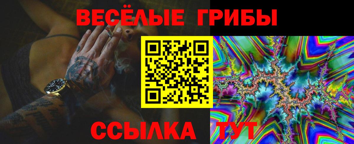 Выкса  Псилоцибиновые грибы мухоморы  Вход с VPN 
